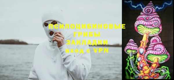 молекула духа Верея
