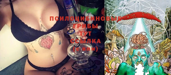 a pvp Верхний Тагил