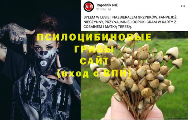 a pvp Верхний Тагил